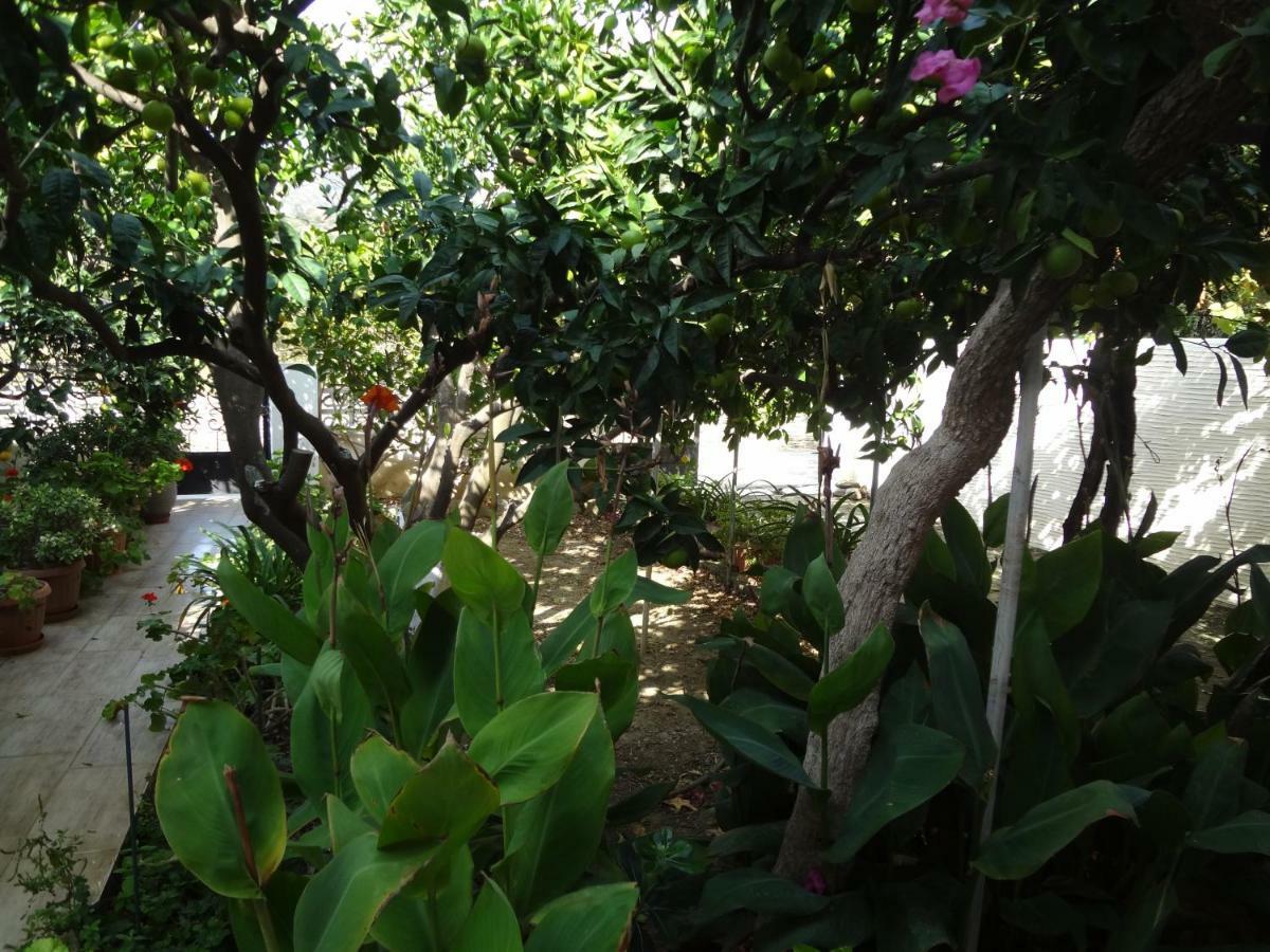 فيلا Cozy Citrus Garden House By The Seaside. Khónias المظهر الخارجي الصورة